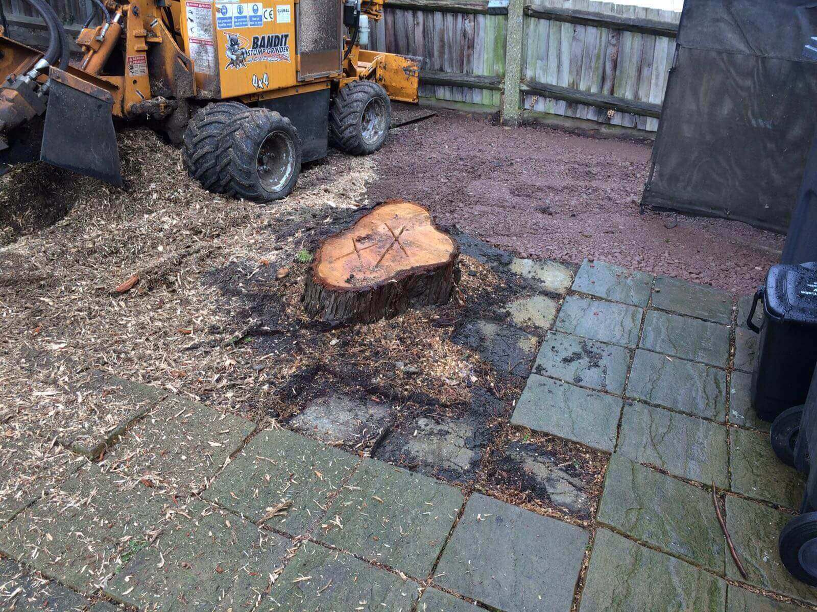 Tree Surgeons Kennington SE11