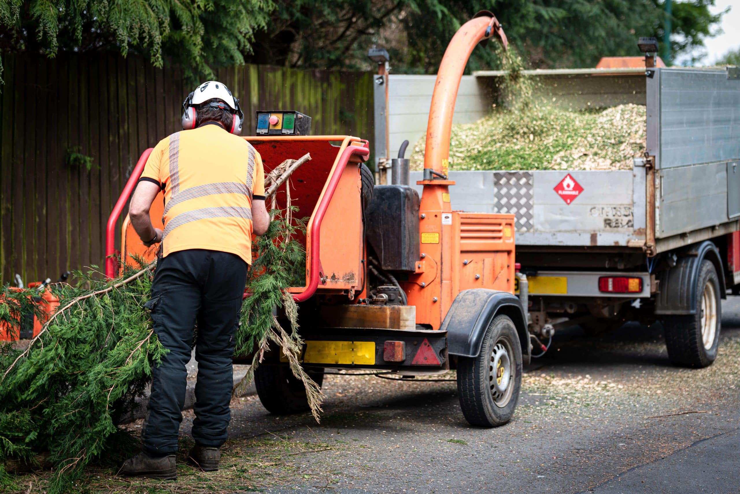 Tree Stump Grinding/Removal Kennington SE11